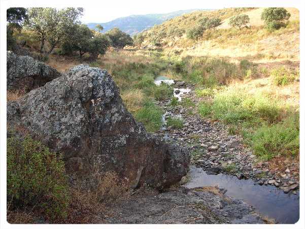 Camino de Las Canales